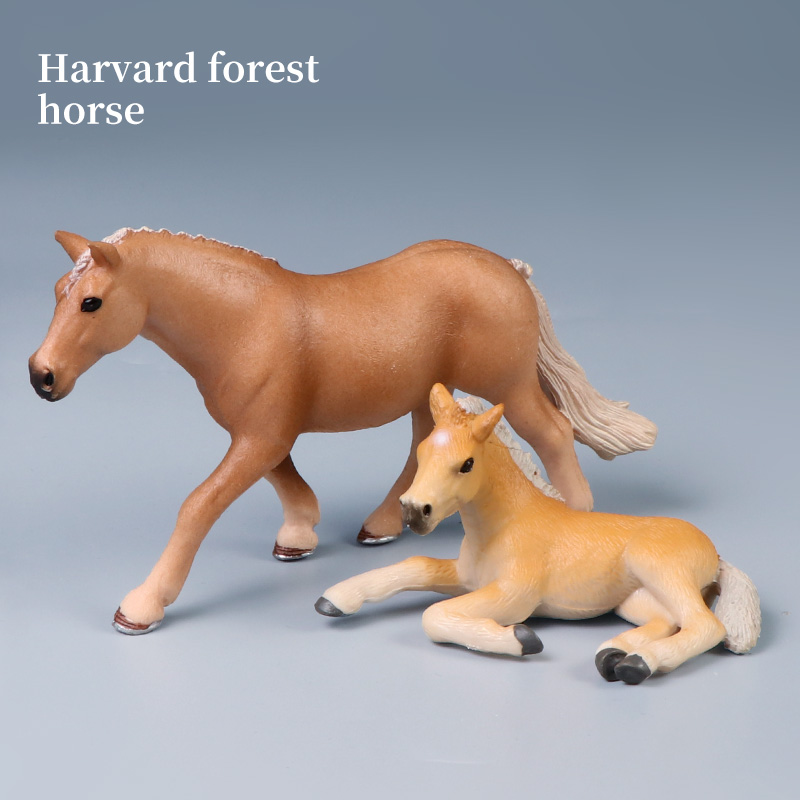 Winged Steed Model Action Figu - Home Improvement Kids ulasan dan harga