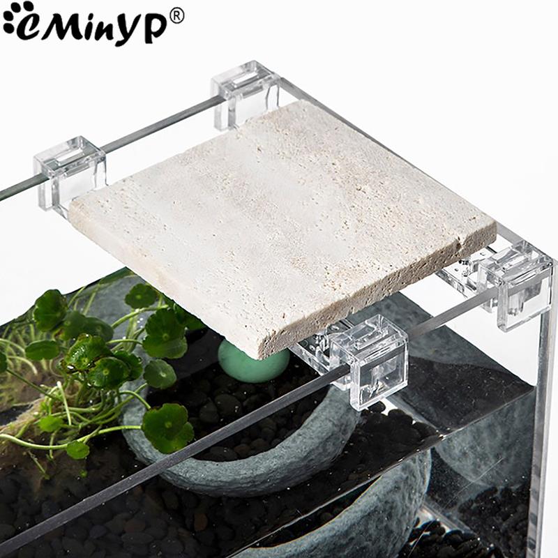 4Pcs Fish Tank Acrylic Clips f - Wall Anchor Plastic ulasan dan harga