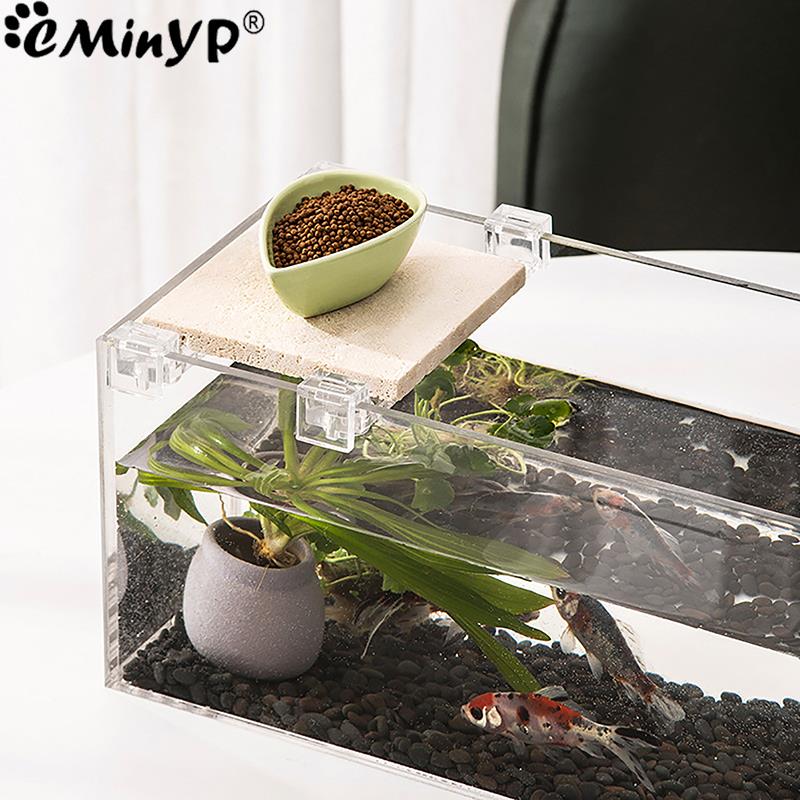 4Pcs Fish Tank Acrylic Clips f - Wall Anchor Plastic ulasan dan harga