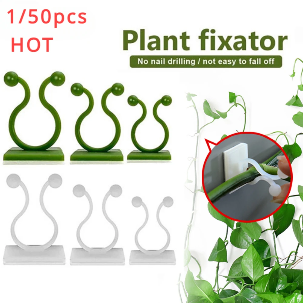 1/30/50Pcs For Garden Accsesor - Wall Anchor Plastic ulasan dan harga