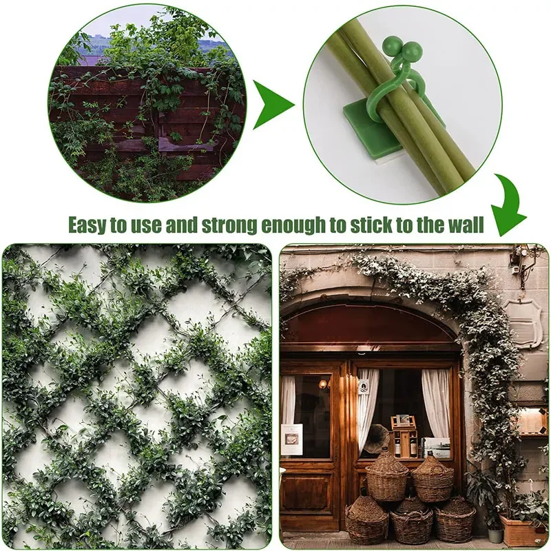 1/30/50Pcs For Garden Accsesor - Wall Anchor Plastic ulasan dan harga